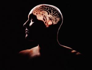 Consciousness in action? It is tempting to think that's what is going on - but wrong (Image: Hans Neleman/Getty) Consciousness in action? It is tempting to think that's what is going on - but wrong (Image: Hans Neleman/Getty)